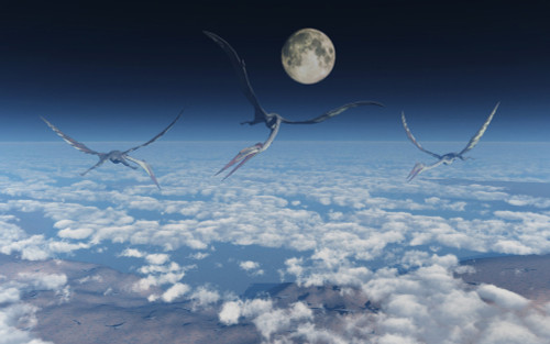 Giant Quetzalcoatlus pterosaurs flying above the clouds. Poster Print by Mark Stevenson/Stocktrek Images - Item # VARPSTMAS600113P