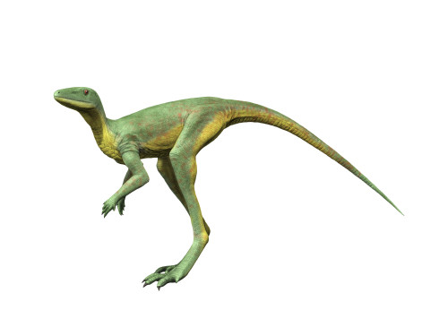 Lagerpeton is an extinct dinosauromorph from the Middle Triassic of Argentina. Poster Print by Nobumichi Tamura/Stocktrek Images - Item # VARPSTNBT600231P