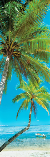 Palm trees on the beach, Viti Levu, Palm Cove, Fiji Poster Print by Panoramic Images - Item # VARPPI161456