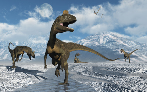 Cryolophosaurus dinosaurs roaming modern day Antarctica. Poster Print by Mark Stevenson/Stocktrek Images - Item # VARPSTMAS600095P
