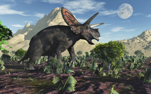 A Torosaurus dinosaur during Earth's Cretaceous period. Poster Print by Mark Stevenson/Stocktrek Images - Item # VARPSTMAS600149P