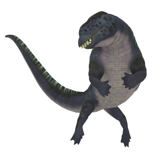 Placodus aquatic reptile of the Triassic period. Poster Print by Corey Ford/Stocktrek Images - Item # VARPSTCFR200856P