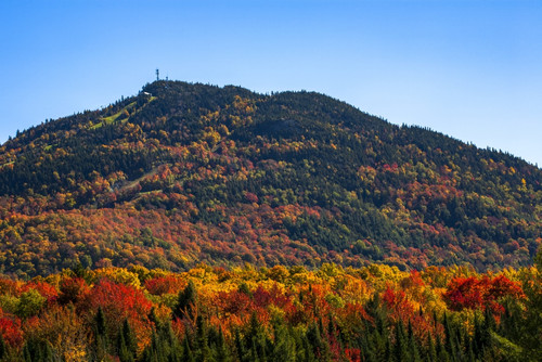 Owl's Head mountain; Potton, Quebec, Canada Poster Print by David Chapman / Design Pics - Item # VARDPI12319241