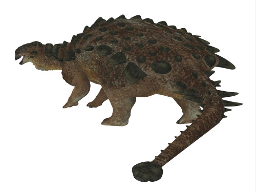Pinacosaurus dinosaur on white background. Poster Print by Corey Ford/Stocktrek Images - Item # VARPSTCFR200769P