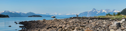 Low tide walk at beach, Southeast Alaska, Alaska, USA Poster Print by Panoramic Images - Item # VARPPI164212