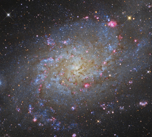The Triangulum Galaxy Poster Print by Roberto Colombari/Stocktrek Images - Item # VARPSTRCM200080S