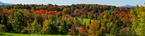 View of autumn trees on a landscape, Brome, Quebec, Canada Poster Print by Panoramic Images - Item # VARPPI173899