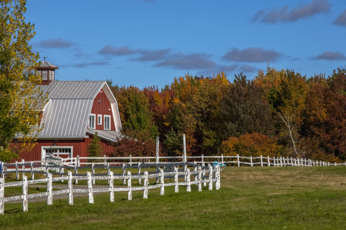 Red barn with trees in autumn colours; Sutton, Quebec, Canada Poster Print by David Chapman / Design Pics - Item # VARDPI12319196