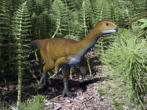 Chilesaurus is an extinct theropod dinosaur from the Late Jurassic of Chile. Poster Print by Nobumichi Tamura/Stocktrek Images - Item # VARPSTNBT600219P