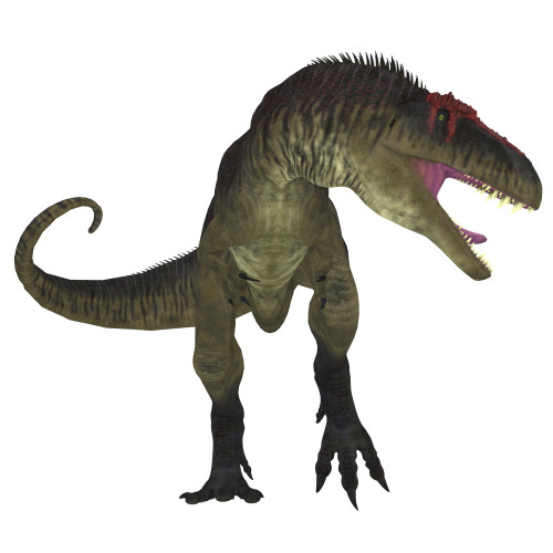 Tyrannotitan dinosaur. Poster Print by Corey Ford/Stocktrek Images - Item # VARPSTCFR200822P