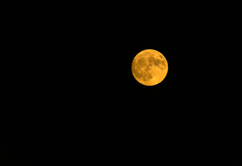 Full moon in the sky at night Poster Print by Panoramic Images - Item # VARPPI175373