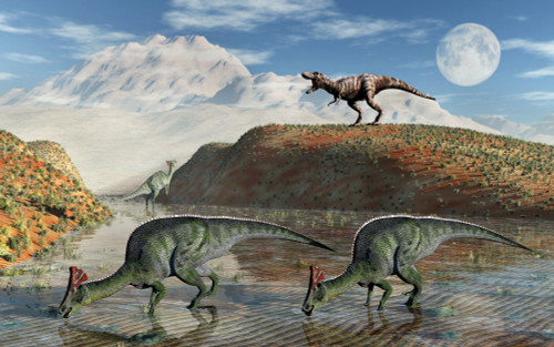 Olorotitan duckbilled dinosaurs being stalked by T-rex. Poster Print by Mark Stevenson/Stocktrek Images - Item # VARPSTMAS600138P