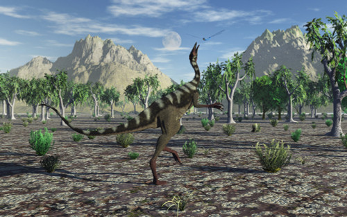 A Pelecanimimus dinosaur chasing a dragonfly. Poster Print by Mark Stevenson/Stocktrek Images - Item # VARPSTMAS600115P