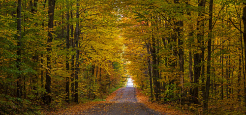 Panorama of country road in autumn; Iron Hill, Quebec, Canada Poster Print by David Chapman / Design Pics - Item # VARDPI12319242