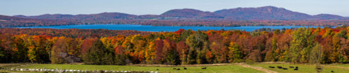 Autumn trees at lakeshore, Brome Lake, West Bolton, Quebec, Canada Poster Print by Panoramic Images - Item # VARPPI173917