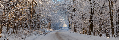 Dirt road passing through snow covered forest, East Hill, Quebec, Canada Poster Print by Panoramic Images - Item # VARPPI173898