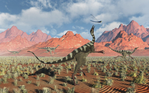 A Pelecanimimus dinosaur chasing a dragonfly. Poster Print by Mark Stevenson/Stocktrek Images - Item # VARPSTMAS600116P