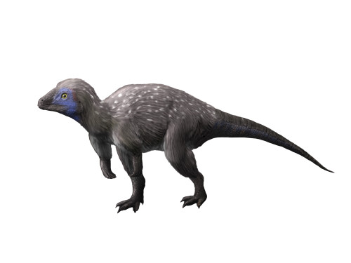 Kulindadromeus is a neornithischian from the Jurassic period. Poster Print by Nobumichi Tamura/Stocktrek Images - Item # VARPSTNBT600197P