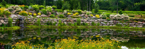 Rocks and plants in Rock Garden, Knowlton, Quebec, Canada Poster Print by Panoramic Images - Item # VARPPI173928