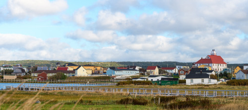Colorful homes in Bonavista, Newfoundland and Labrador, Canada Poster Print by Panoramic Images - Item # VARPPI175335