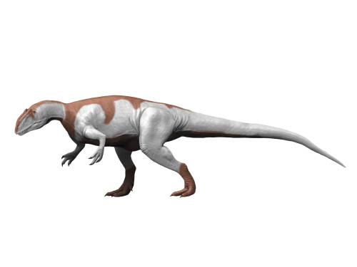 Yangchuanosaurus is a theropod from the Late Jurassic period. Poster Print by Nobumichi Tamura/Stocktrek Images - Item # VARPSTNBT600191P