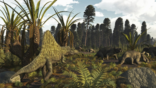 A Triassic scene with the sailback Arizonasaurus and some dicynodonts. Poster Print by Arthur Dorety/Stocktrek Images - Item # VARPSTADR600051P