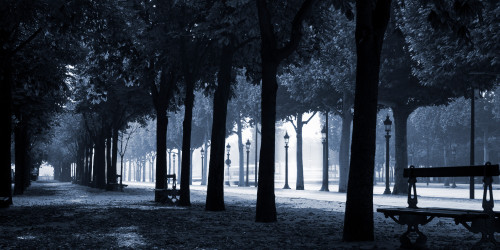 Trees on both sides of a walkway, Champs Elysees, Paris, France Poster Print by Panoramic Images - Item # VARPPI173360