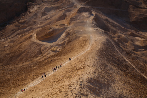 Hikers to the Masada complex, Masada, Dead Sea, Israel Poster Print by Panoramic Images - Item # VARPPI155850