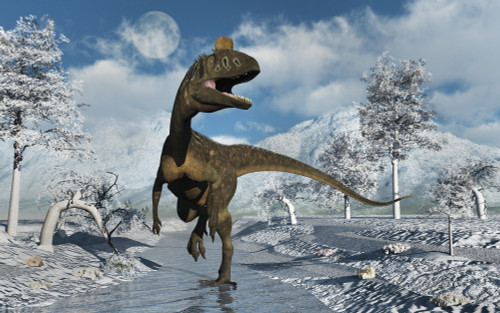 A Cryolophosaurus dinosaur walking along a stream of modern day Antarctica. Poster Print by Mark Stevenson/Stocktrek Images - Item # VARPSTMAS600097P