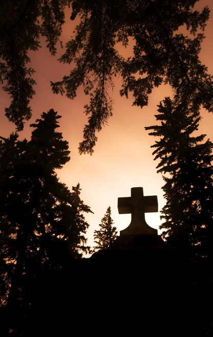 Cross Silhouette Poster Print by Chris and Kate Knorr / Design Pics - Item # VARDPI1827681