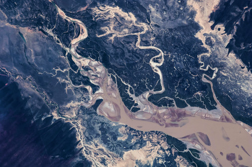 Satellite view of estuary, Camballin, Western Australia, Australia Poster Print by Panoramic Images - Item # VARPPI181198
