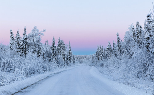 Belt of Venus and hoarfrost at sunrise along a back road in South-central Alaska in winter; Alaska, United States of America Poster Print by Ray Bulson / Design Pics - Item # VARDPI12321337