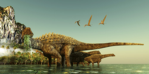 Ampelosaurus dinosaurs eating underwater vegetation. Poster Print by Corey Ford/Stocktrek Images - Item # VARPSTCFR200872P