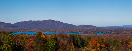 Autumn trees at lakeshore, Brome Lake, West Bolton, Quebec, Canada Poster Print by Panoramic Images - Item # VARPPI173916