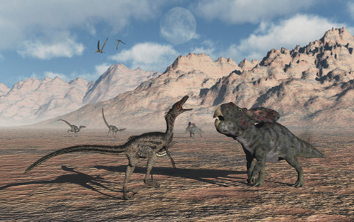 A predatory Velociraptor stalking a pair of Protoceratops. Poster Print by Mark Stevenson/Stocktrek Images - Item # VARPSTMAS600152P
