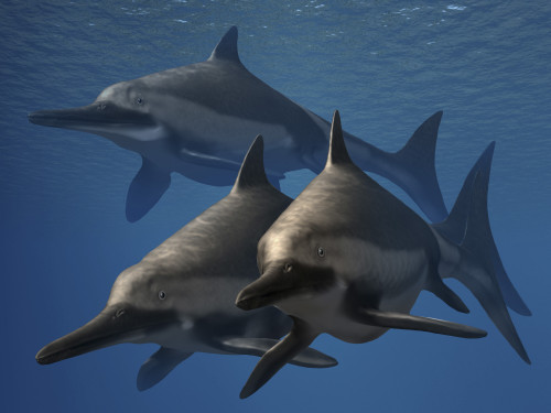 A group of Ichthyosaurus aquatic reptiles from the Early Jurassic of England. Poster Print by Nobumichi Tamura/Stocktrek Images - Item # VARPSTNBT600228P