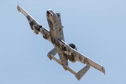 A U.S. Air Force A-10 Thunderbolt II in flight. Poster Print by Rob Edgcumbe/Stocktrek Images - Item # VARPSTRDG100241M