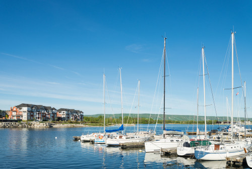 Sailboats at harbor, Collingwood Harbor, Ontario, Canada Poster Print by Panoramic Images - Item # VARPPI155233
