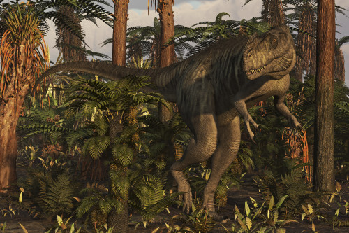 Megalosaurus dinosaur stalks the forest. Poster Print by Arthur Dorety/Stocktrek Images - Item # VARPSTADR600063P