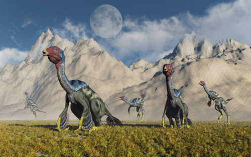 A gathering of Caudipteryx feathered dinosaurs. Poster Print by Mark Stevenson/Stocktrek Images - Item # VARPSTMAS600111P