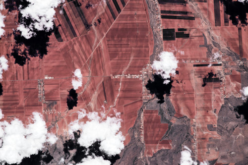 Satellite view of fields, Chihuahua, Mexico Poster Print by Panoramic Images - Item # VARPPI181336
