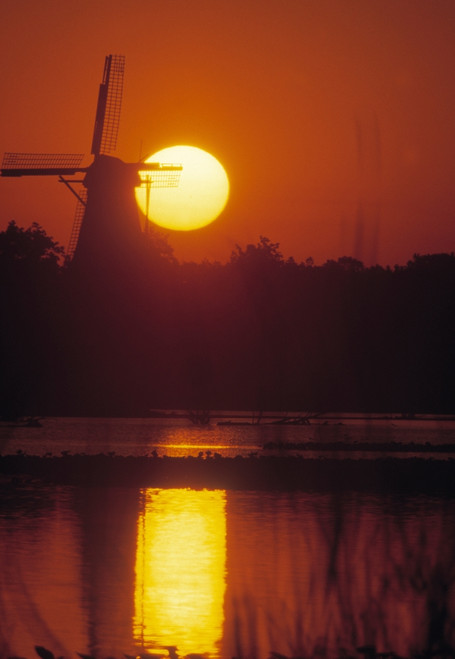 De Zwaan windmill in Windmill Island Gardens at sunrise, Holland, Michigan, USA Poster Print by Panoramic Images - Item # VARPPI173571