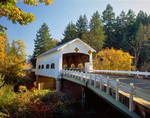 Covered bridge over a river, Rochester Covered Bridge, Calapooia River, Douglas County, Oregon, USA Poster Print by Panoramic Images - Item # VARPPI173242