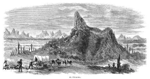 Arizona: Picacho Peak, 1864. /Nview Of Picacho Peak In Arizona. Wood Engraving, American, 1864. Poster Print by Granger Collection - Item # VARGRC0322909