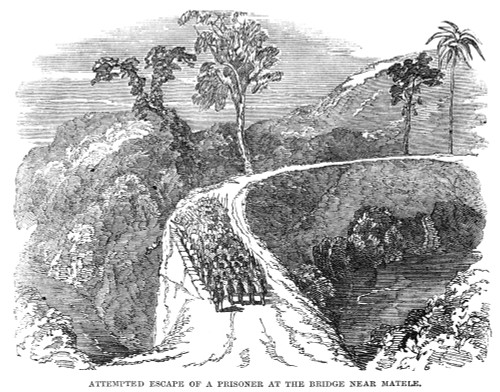 Ceylon: Prisoners. /Na Prisoner Of Colonial British Forces, Attempting To Escape By Jumping Off A Bridge Near Matale, Ceylon, C1848. Engraving, English, 1848. Poster Print by Granger Collection - Item # VARGRC0265869