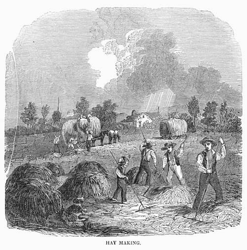 Making Hay, C1855. /Nwood Engraving, American, Mid-19Th Century. Poster Print by Granger Collection - Item # VARGRC0092901
