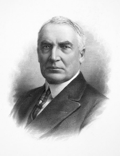 Warren G. Harding /N(1865-1923). 29Th President Of The United States. Steel Engraving. Poster Print by Granger Collection - Item # VARGRC0064339