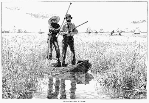Bird Shooting, 1884. /Nhunting On The Delaware River. Drawing, 1884, By Arthur Burdett Frost. Poster Print by Granger Collection - Item # VARGRC0088229