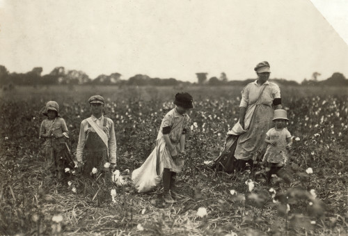Child Labor: Cotton, 1916. /Nfamily Of Cotton Pickers In Comanche County, Oklahoma. Photograph By Lewis Hine, 1916. Poster Print by Granger Collection - Item # VARGRC0408348