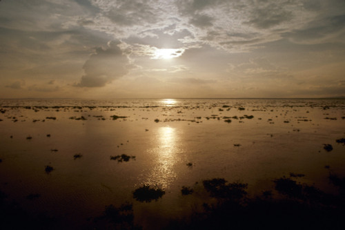 Congo: Congo River. /Nsunset On The Congo River Near Kinshasa, Zaire (Democratic Republic Of The Congo). Photographed In 1974. Poster Print by Granger Collection - Item # VARGRC0167432 Congo: Congo River. /Nsunset On The Congo River Near Kinshasa, Zaire (Democratic Republic Of The Congo). Photographed In 1974. Poster Print by Granger Collection - Item # VARGRC0167432